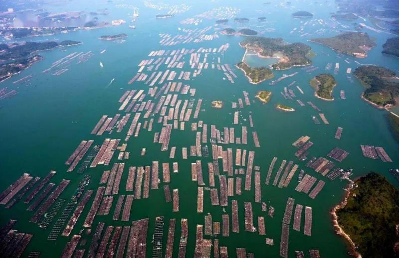 Basalt supports the green transformation of marine aquaculture industry